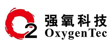 数字内容制作服务 迎接开始与结束的艺术